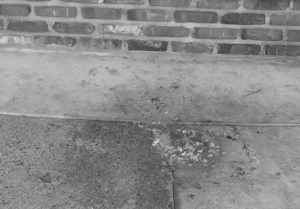 street vomit crop bw